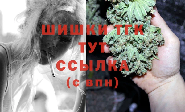прущие крисы Аркадак