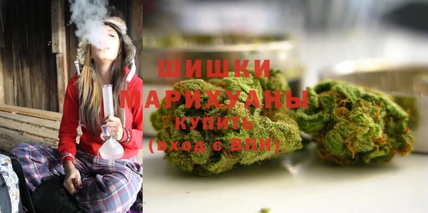 молекула духа Балахна