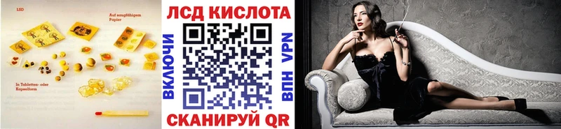 как найти наркотики  Высоковск  Лсд 25 экстази ecstasy 