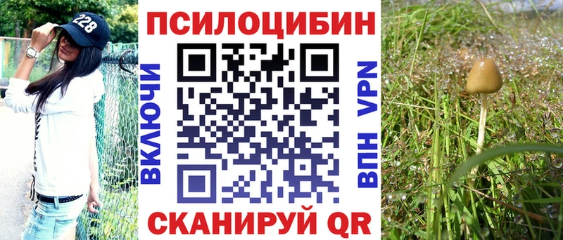 Псилоцибиновые грибы мицелий  МЕГА ССЫЛКА  Высоковск 